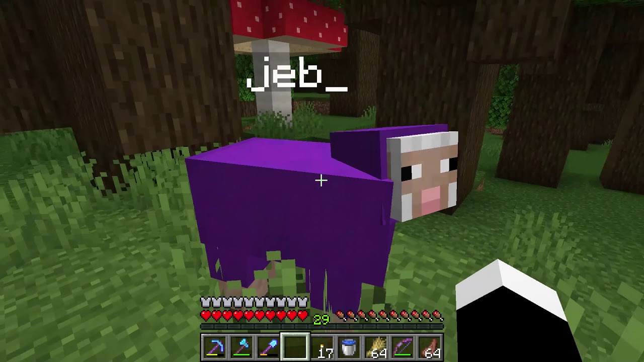 How To Name The Sheep Jeb Minecraft Youtube