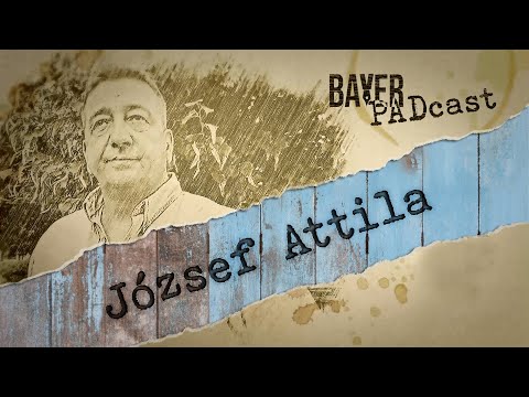 Videó: Bayer - A Jövő Szakma, Alapvető Követelmények