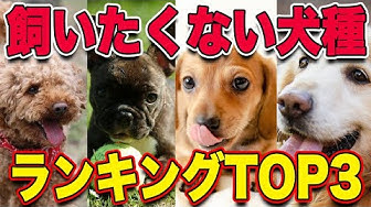 まさお君 Youtube まさお君 Youtube