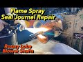 Rotary Lobe Blowers Flame Spray Repair