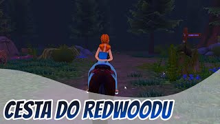 Cesta do Redwoodu #2 || Star Equestrian CZ