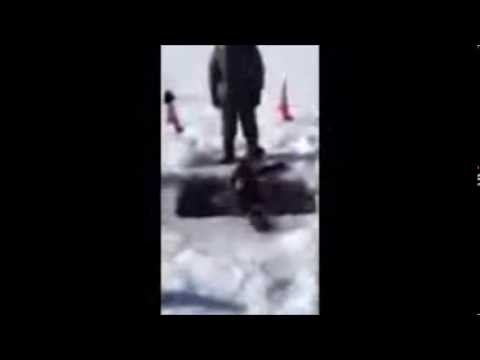 fisher argentina Vermont Fish & Wildlife Wardens Jump Through Ice
