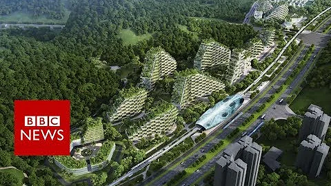 China's first forest city - BBC News
