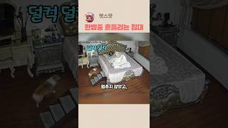 침대 밑을 확인했다가 놀란 주인
