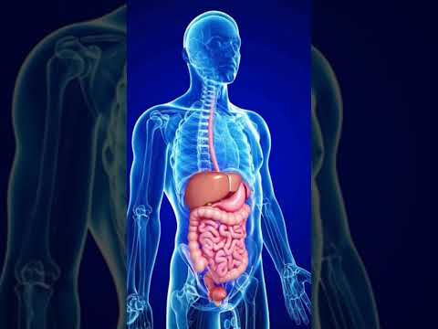 د أسامة البلكى مدير معهدغ الطب القومى بدمنهور و حوار حول مناظير الجهاز الهضمى