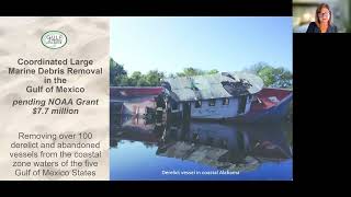 Virtual Breakout: Investing in a Resilient Future: Sustaining Ocean & Coastal Conservation