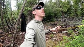 Bois Blanc Island. My new property & snake island