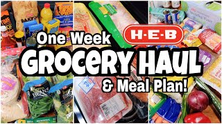 One Week Grocery Haul | Shop With Me | $100 HEB Haul