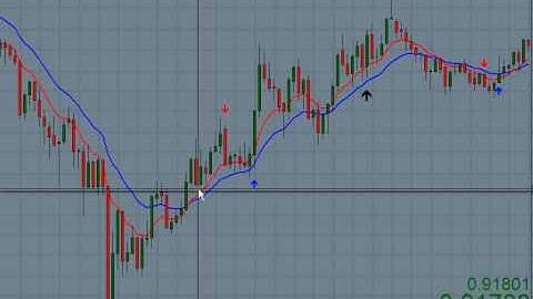 Video on reversals.avi