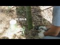 竹伐りに最適な工具 の動画、YouTube動画。