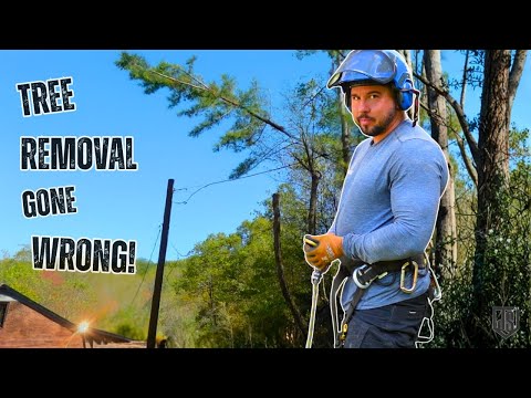 C And J Construction Llc Prairieville Reviews