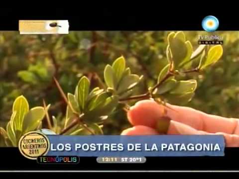 Preview de Cocina Patagónica
