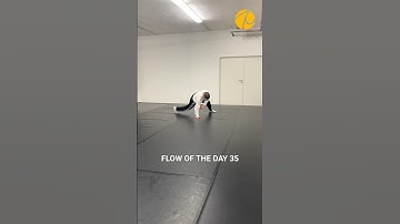 Learn this ground flow in 5 steps🌊 #groundmovement #lukasrobitschko #flow #floorwork