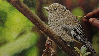 How to Painting a Bird With Acrylics