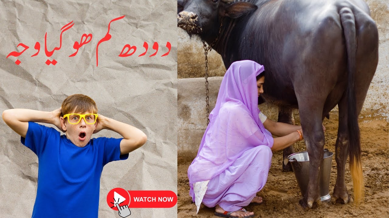 Kam Ho Gaya Meaning In Telugu