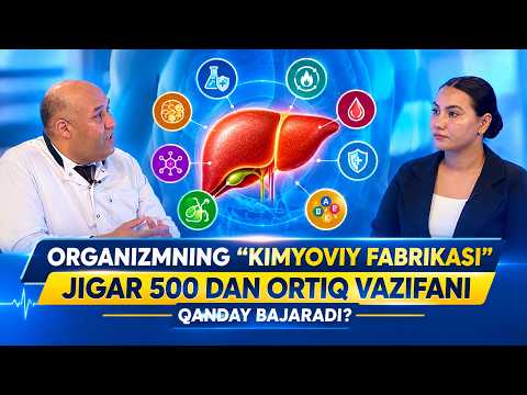 Organizmning “kimyoviy fabrikasi”: Jigar 500 dan ortiq vazifani qanday bajaradi?