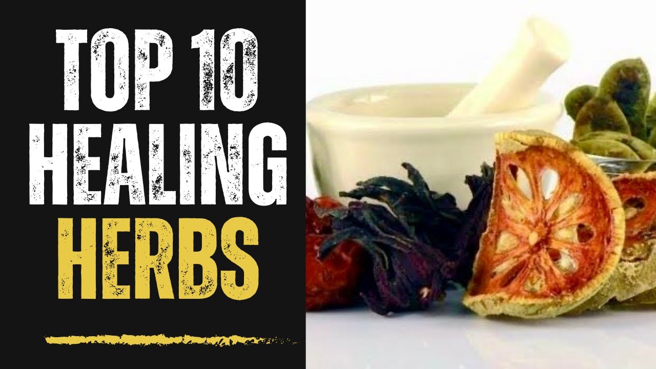 Top 10 Healing Herbs for Natural Wellness YouTube