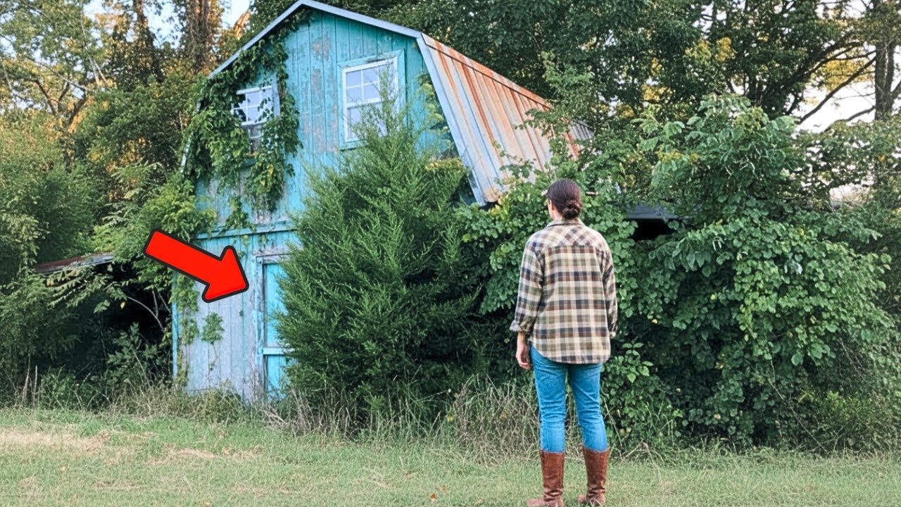 She Opened Her Grandfather’s Shed After 20 Years — What She Found Inside Changed Her Life