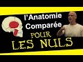 L'anatomie pour les nuls et les végétariens