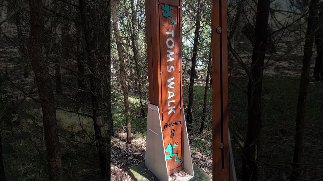 Hervey Bay Esplanade Torquay Walking Trail | Fraser Coast Regional Council