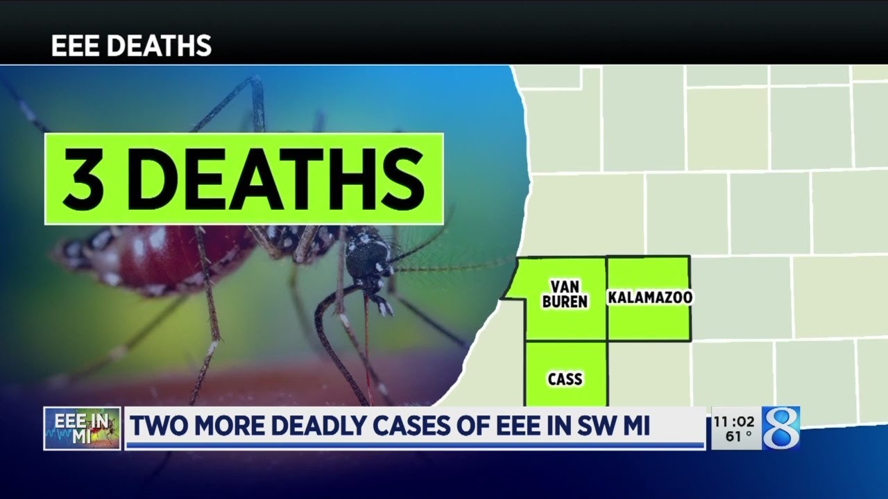 2 more die of mosquitoborne EEE in southwest Michigan YouTube