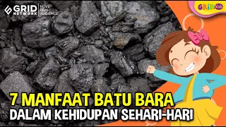 Proses Terbentuknya Batu Bara dan Apa Saja Manfaat  Batu Bara dalam Kehidupan Sehari-hari