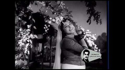 Kurunthottikaya pazhuthu - Kuppivala