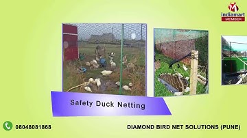 Bird and Duck Netting by Diamond Bird Net Solutions, Pune