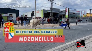 Encierro XII Feria del Caballo en Mozoncillo