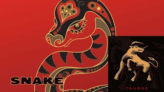 TAURUS - SNAKE