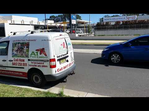 Effective Spider Control Solutions in North Kellyville | A1 Pest Control