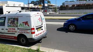Effective Spider Control Solutions in North Kellyville | A1 Pest Control