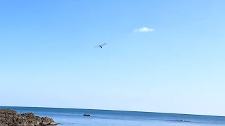 видео: Янгнам , Южная Корея. Морская рыбалка с берега. Желтохвостая Лакедра 양남면, 방어 картинка: Янгнам , Южная Корея. Морская рыбалка с берега. Желтохвостая Лакедра 양남면, 방어