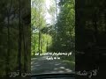 لاړ شه ننګرهار ته کميس تور ما ته راوړه لاړ شه ننګرهار ته کميس تور ما ته راوړه