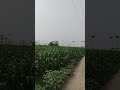 ghumne Jaya Karo dost