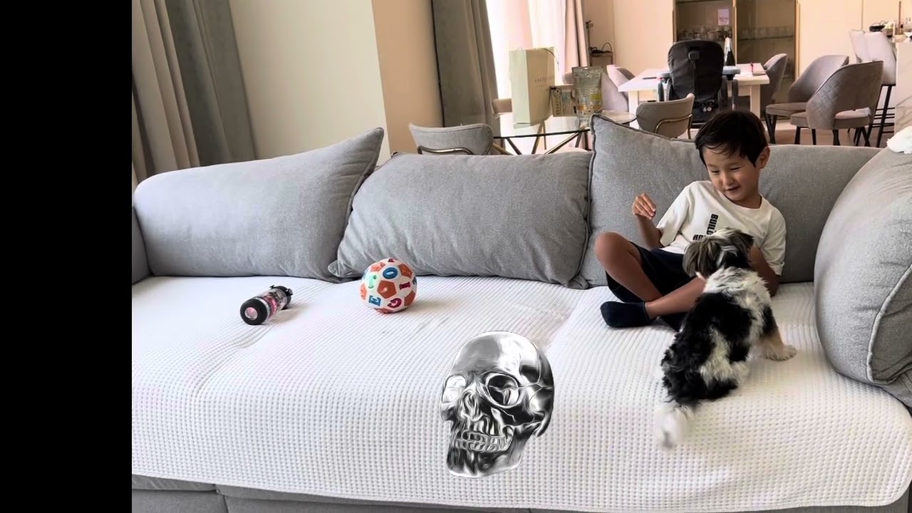 Dog tommy eats meat with me operator-