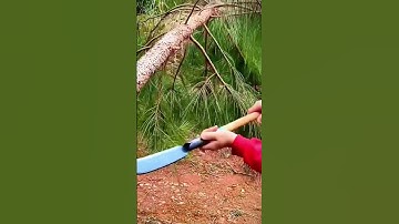 pruning plant branches with a sharp machete #shorts