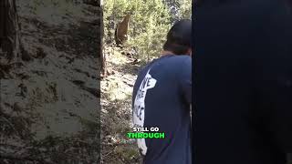 Demolition Ranch: Testing Non-Firearm with Suppressor!