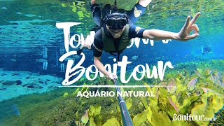 Tour com a Bonitour - Aquário Natural | Bonito-MS