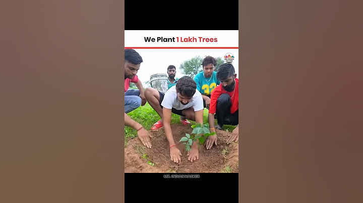 we plant 1 Lakh trees                           #tree #treeoflife#youtubeshorts #trending####$