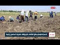 الدعم الحكومي يحقق الاكتفاء.. قرار بإيقاف استيراد 6 محاصيل زراعية | تقرير صابرين كاظم