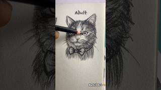 How to draw a cat🔥 (life cycle 🔁) #drawing #tutorial #art #cat #catdrawing
