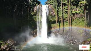 Echoes Of The Ancestral Fire Drums Awakening The Spirit’s Sacred Pulse