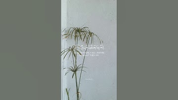 ولقد آتينا موسى الكتاب فاختلف فيه| القارئ أحمد البشر #quran #اكسبلور #reaction #المصحف #holyquran