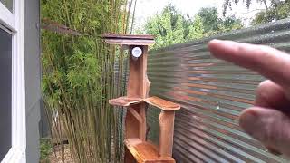 Cat Tree Ideas DIY Made from Cedar Slabs - Cat gets from Ground to Roof