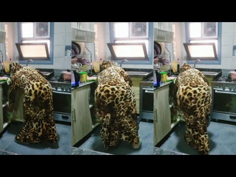 روتين يومي من السرير للمطبخ بداية غير متوقعة روتين اكسبلور اميره لايف 