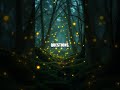 Lumen's Moonward Quiet