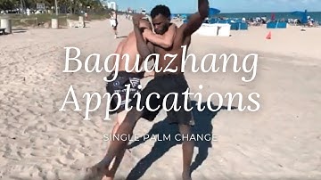 Baguazhang Basic Fighting Applications - Single Palm Change