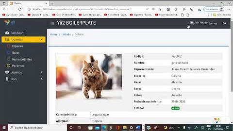 SISTEMA DE VETERINARIA YII2 FRAMEWORK PHP   MOSTRANDO MODAL E INSERTANDO DATOS PARCIAL 2