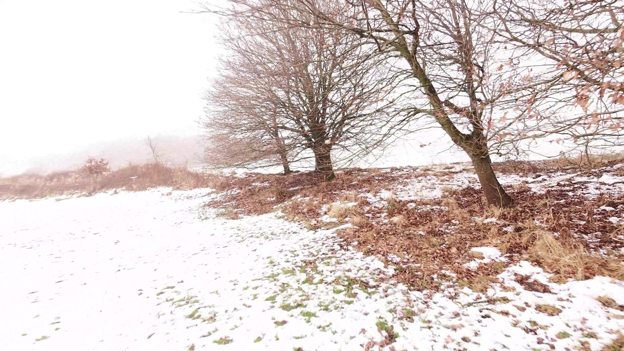 Nebelflug mit der Neo 2